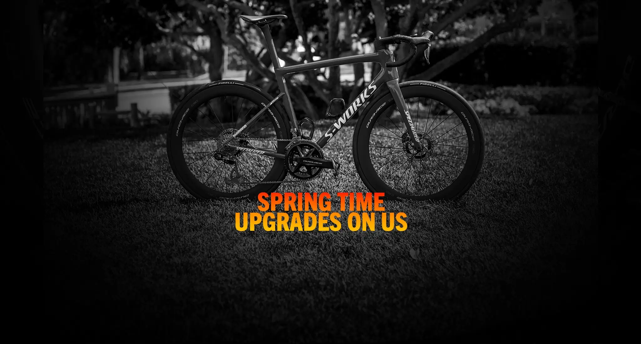 Unleash Pure Cycling Speed